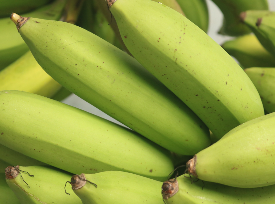 Banana Sorting & Grading